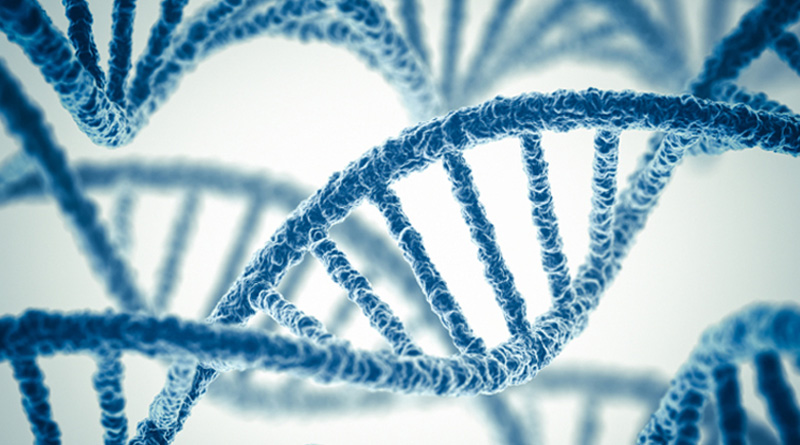 Sejauh Mana Perkembangan Terapi Stem Cell di Indonesia?