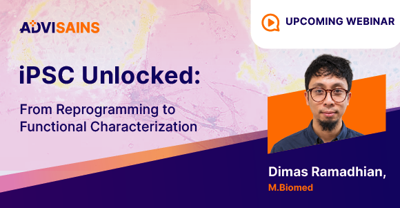 iPSC Unlocked: From Reprogramming to Functional Characterization