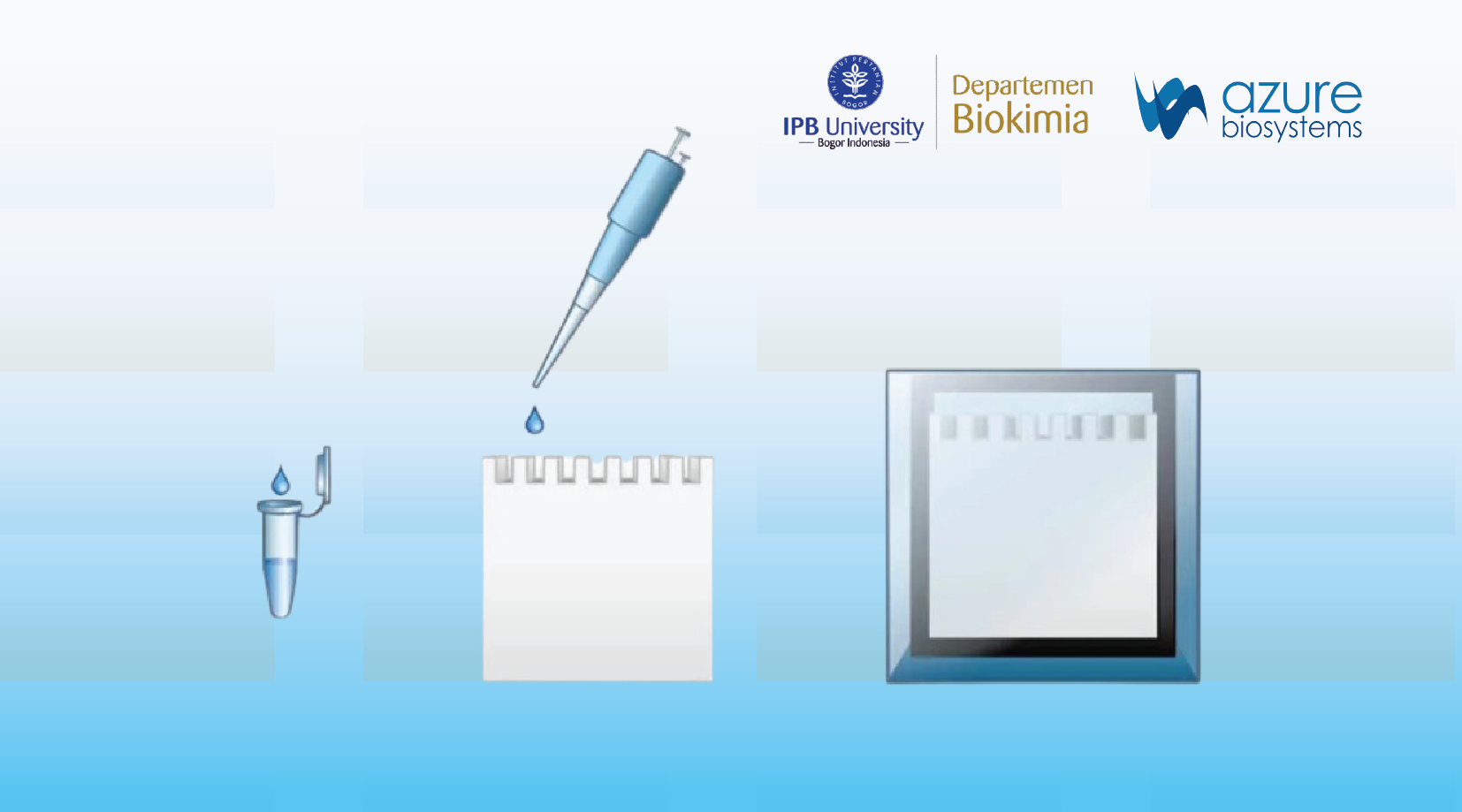 Quantitative Western Blot: From Cell Signaling to Fluorescence Detection