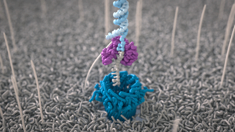 Oxford Nanopore Technologies